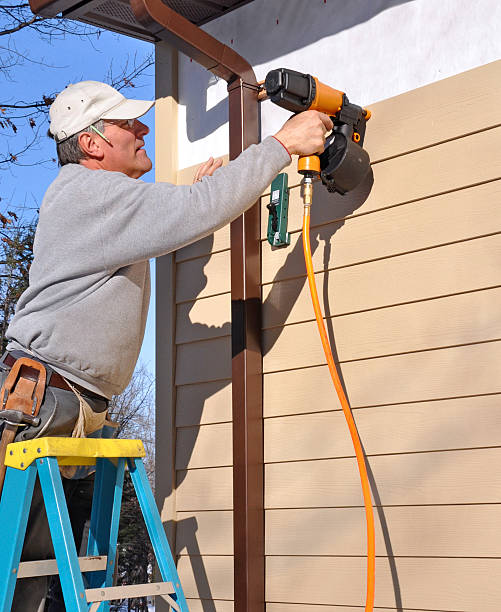 Best Aluminum Siding Installation  in Hlsboro, IL